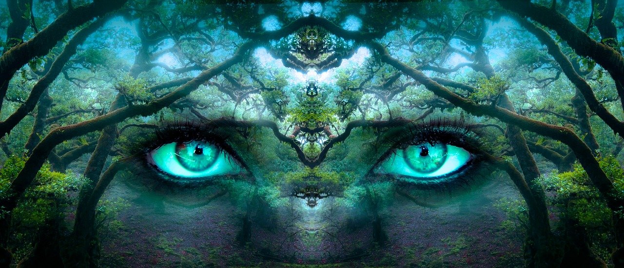 fantasy, eyes, forest